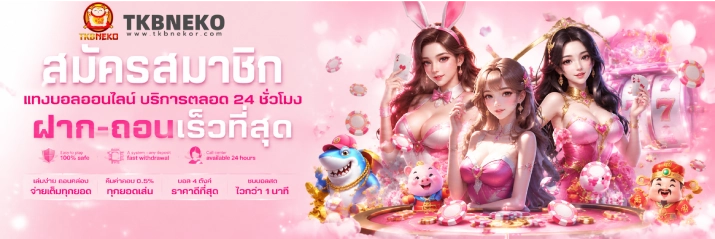 ทางเข้า tkb neko